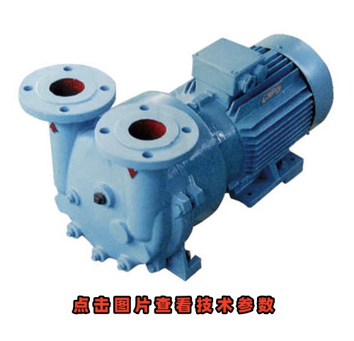 2BV-2071普型水環真空泵