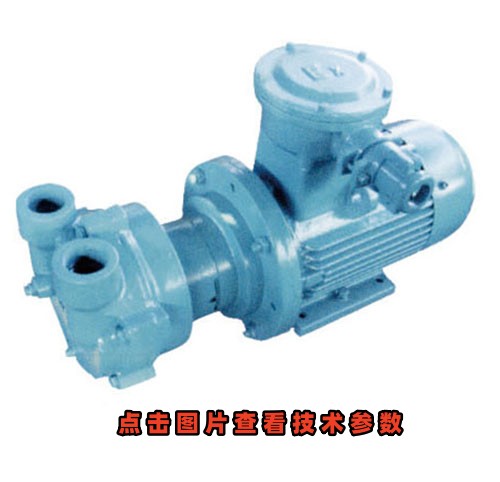 2BV-2061防爆水環真空泵